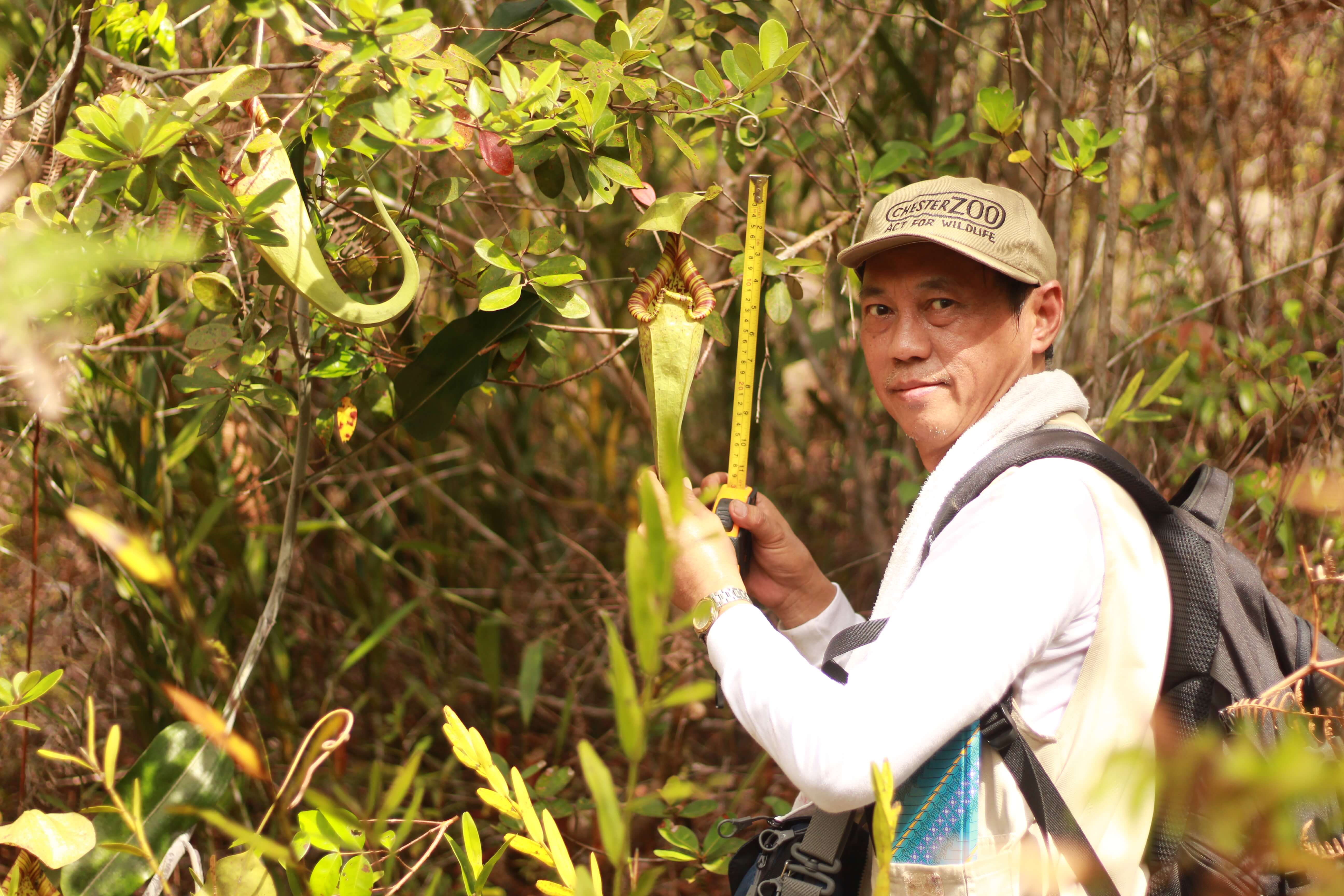 Conservation Projects